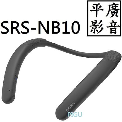 平廣 送袋 SONY SRS-NB10 炭灰色 藍芽喇叭 台灣公司貨保一年 另售真無線耳機 JBL JVC UE 先鋒