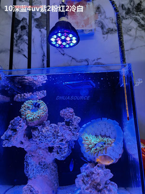 定制全光譜LED水族珊瑚燈海缸藻缸燈植物燈補光魚缸燈泡