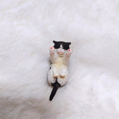 黑白貓 貓 杯緣子 扭蛋 公仔 玩具
