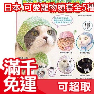 【頭巾貓咪】日本 可愛寵物頭套 整套5種 扭蛋轉蛋 喵星人毛小孩狗犬兔 娃娃造型裝飾帽 療癒交換禮物 ❤JP Plus+