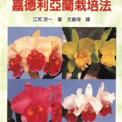 寶貝の家 蘭花系列 嘉德利亞蘭栽培法中文蘭花專業書本 全新書本 Yahoo奇摩拍賣