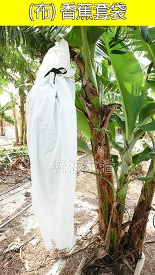 【綠海生活】約80*164cm(150丹) 布香蕉袋 布香蕉套袋 香蕉袋 香蕉套袋 布套袋 水果套袋 防猴 網罩