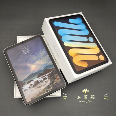 【高雄現貨】iPad mini6 5G 64G 星光色 8.3吋 可插卡 LTE mini 6