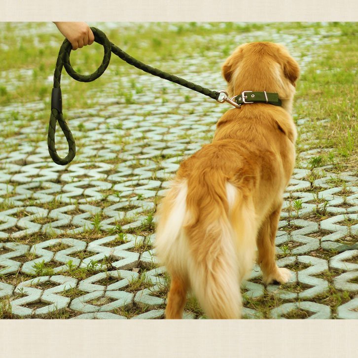 狗鏈子狗狗牽引繩大型犬中型犬小型犬牽引背帶金毛遛狗繩子寵物項圈 Yahoo奇摩拍賣