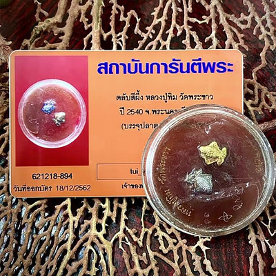 泰國佛牌2540龍婆肥添好運膏帶冠蘭魚棕色含G卡現貨泰國特色