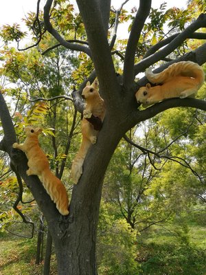 園林公園花園庭院裝飾工藝品動物雕塑樹脂仿真爬樹三只小松鼠擺件