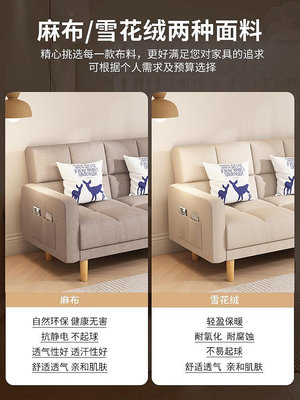 沙發小戶型客廳新款簡約房公寓單雙人布藝折疊沙發床兩用