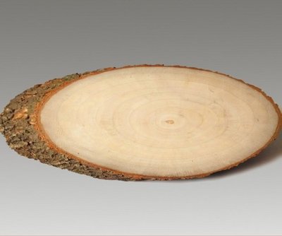 純天然香樟木年輪片 橢圓形香樟木片 實木樁樹樁 雕刻燙印 厚度1.5CM 短直徑5CM長直徑10CM左右