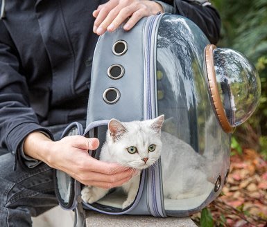 “正品”透明雙肩書包貓包太空貓咪艙手提裝寵物背包