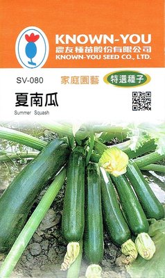 夏南瓜【滿790免運】農友種苗 夏南瓜-輝青(特選種子) 蔬菜種子  每包約10粒 保證新鮮種子