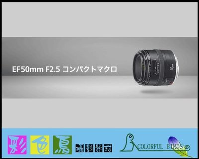 彩色鳥 (鏡頭出租 相機出租 DV出租) Canon 50mm F2.5 MACRO