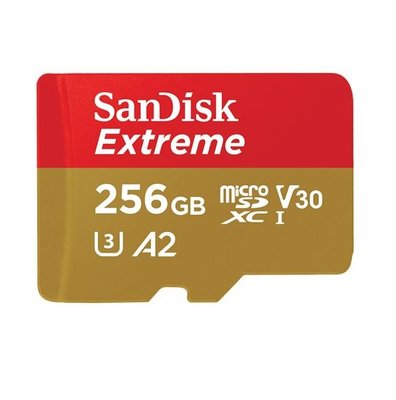 SanDisk 256GB 256G Micro SD EXTREME 記憶卡 switch記憶卡 高速 手機記憶卡