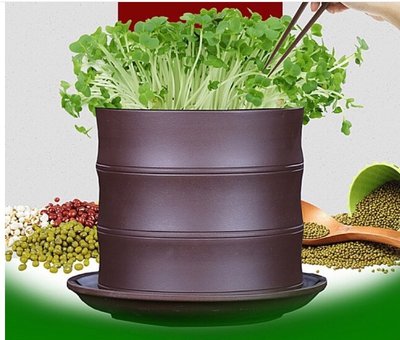 養生陶土(紫砂)豆芽罐發豆芽機，動手樂，安全衛生，自己生產可生食等級的芽苗菜，口徑15公分-1000G