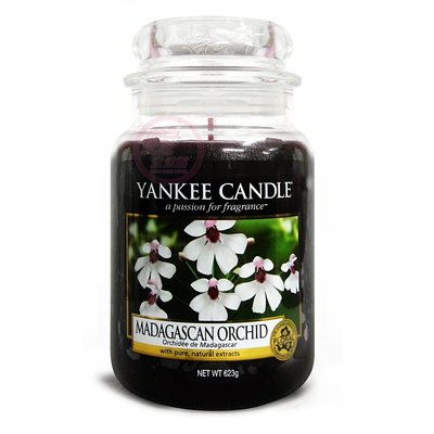 便宜生活館【家庭保健】Yankee Candle 香氛蠟燭 22oz /623g (馬達加斯加蘭花) 全新商品