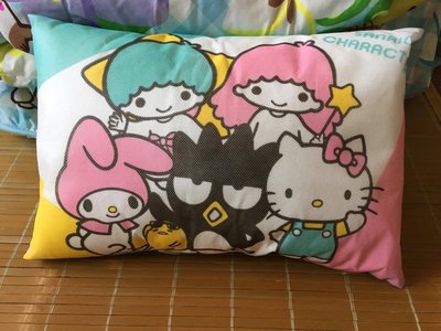 kitty 雙子星 kikilala 酷企鵝 美樂蒂 枕頭 抱枕 枕頭套(現貨)