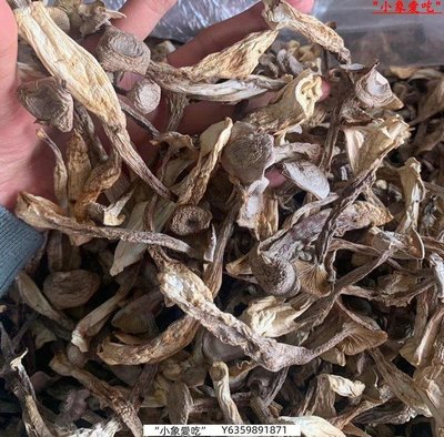 鹿茸菇幹貨500g鹿茸菌特級鹿茸菇煲湯食材食用菌菇野蘑菇香菇
