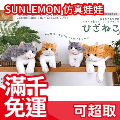 【S】日本 SUNLEMON 仿真貓咪娃娃 膝上 趴趴坐坐 仿真貓 貓咪肉球 絨毛娃娃 趴坐 玩偶 禮物  ❤JP