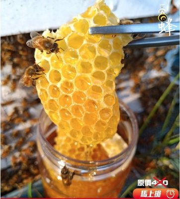【台灣~產地直送】蜂巢蜜250g嚼著吃的蜂巢90天自然釀造