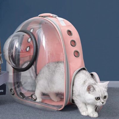 【熱賣下殺】貓咪外出包全透明太空艙寵物雙肩包側開貓背包狗龍貓寵物物包用品【】