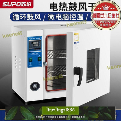【現貨】蘇珀電熱恆溫鼓風乾燥箱客廳燈實驗室高溫小型工業烘乾機加熱烤箱