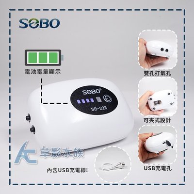 【AC草影】SOBO 松寶 交直流鋰電池打氣機 SB-228（雙孔）【一個】ECS011655
