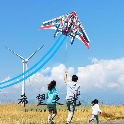 特技風箏風箏兒童微風易飛新款大小號戰斗飛機大人專用輪盤