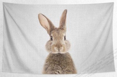 【M WareHouse】可愛兔子 壁飾 掛布 掛毯 ＊3款尺寸。B21050301