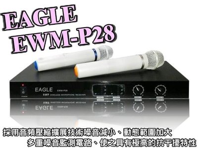 EAGLE EWM-P28 雙頻無線麥克風組