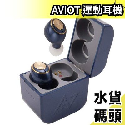 日本原裝 職人調音 AVIOT TE-D01g 運動耳機 IPX7防水 入耳式 耳道式 降噪