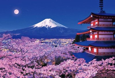 51-276 絕版1000片日本進口拼圖 風景 櫻花滿開 富士 浅間神社