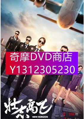 DVD專賣 2021大陸劇 壯誌高飛/壯志高飛 陳喬恩/鄭愷 高清盒裝6碟