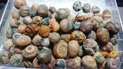 【巽玉閣】內蒙古阿拉善戈壁眼睛石原石單顆-奇石收藏,標本,原礦,原石,串珠