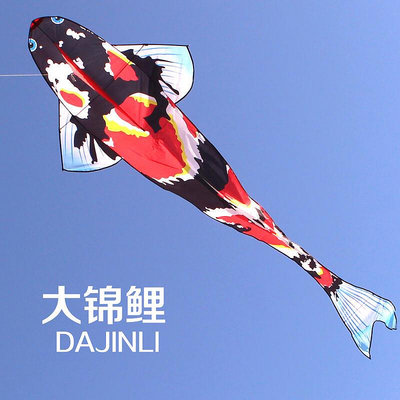 【現貨】濰坊風箏 新款高檔大錦鯉風箏 初學者好飛易飛大型成人大風箏