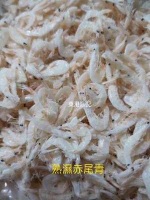 東港順記 泰國蝦釣餌 濕赤尾青（熟品）  1台斤200  ～滿10斤免低溫運費～