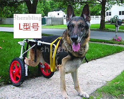 (PET-A_19)狗輪椅 寵物輪椅 小動物輪椅 犬代步車 狗後腿助行車 狗後肢輪椅