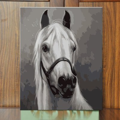 下殺-DIY手繪填色畫數字油畫動物馬臥室客廳沙發背景墻餐廳裝飾畫 馬頭