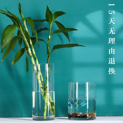 漫友擺件 水培植物玻璃瓶透明直筒圓柱花瓶簡約綠蘿富貴竹落地水養干花桌面