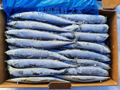 秋刀魚箱的價格推薦 21年4月 比價撿便宜