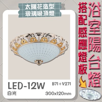 【EDDY燈飾網】台灣現貨(B71+V271)LED-12W 感應式太陽花造型浴室陽台燈 白光 適用於浴室陽台照明