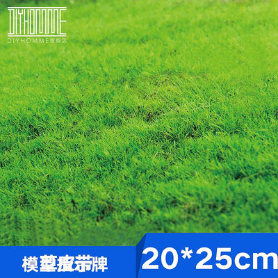 沙盤建筑模型材料DY手工仿真草坪草地草皮帶毛帶背膠草皮紙模型