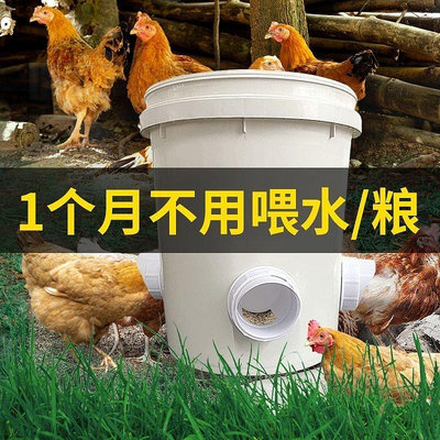 【熱賣】傢禽 自動餵食器 餵鷄 食槽 蘆丁鷄 飼料桶 飲水器 小鷄鴨鵝 自動餵鷄神器 CKTJ