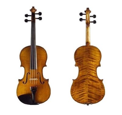Abbott SN-300 小提琴 1/2 SN300