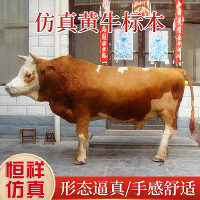 仿真黃牛模型  招財擺件耕地牛  仿真動物水牛奶牛工藝品展示道具