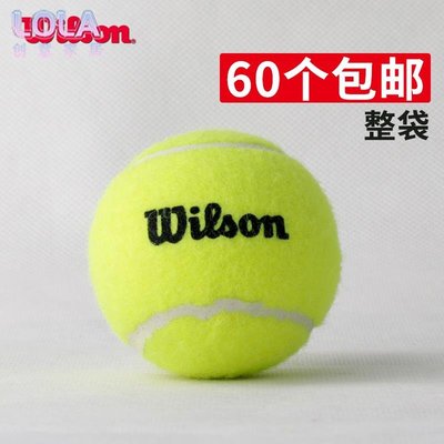 免運-Wilson威尔胜训练袋装网球单人练习弹性耐磨耐打 威尔逊比赛网球-LOLA創意家居