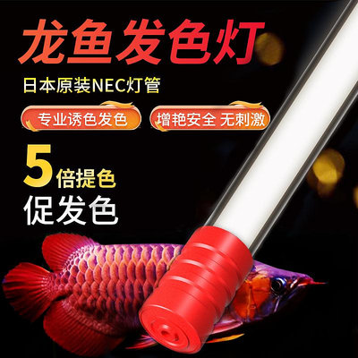 日本NEC魚缸燈龍魚專用燈潛水烤色燈龍魚發色燈6700K紅龍魚增艷燈