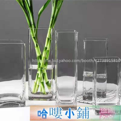 魚缸 創意桌面魚缸 玻璃魚缸花瓶 方形現代簡約玻璃透明花瓶方缸方口富貴竹鮮花器水培綠植百合水竹此款小號規格