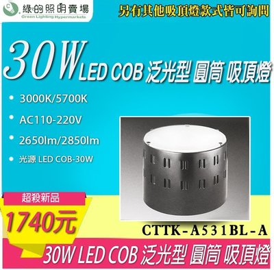 台灣製造 LED COB 30W 泛光型 筒燈 吸頂燈 天花燈 室內燈 投射燈 投光燈 餐廳 咖啡廳 居家照明 商業照明