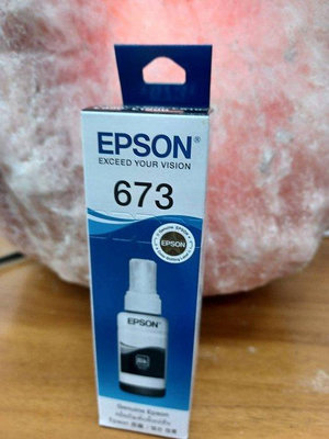 ☆呈運☆盒裝EPSON T6731 T673100 T673 原廠黑色墨水 適用:L800/L1800/L805
