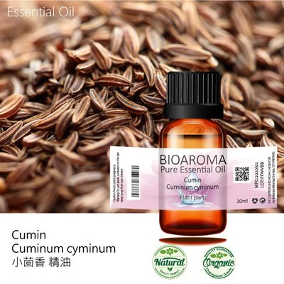 【芳香療網】小茴香精油Cumin - Cuminum cyminum  10ml