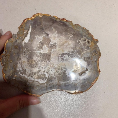 馬達加斯加木化石切片茶盤，帶晶洞，593克，14×12厘米